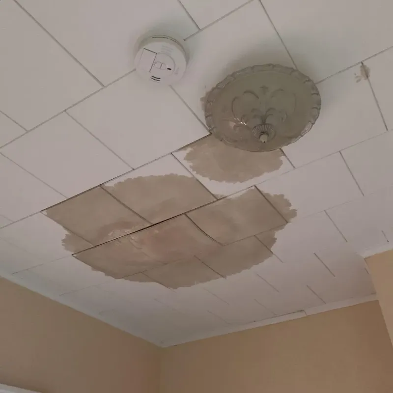 Ceiling Water Damage Repair in Calera, AL
