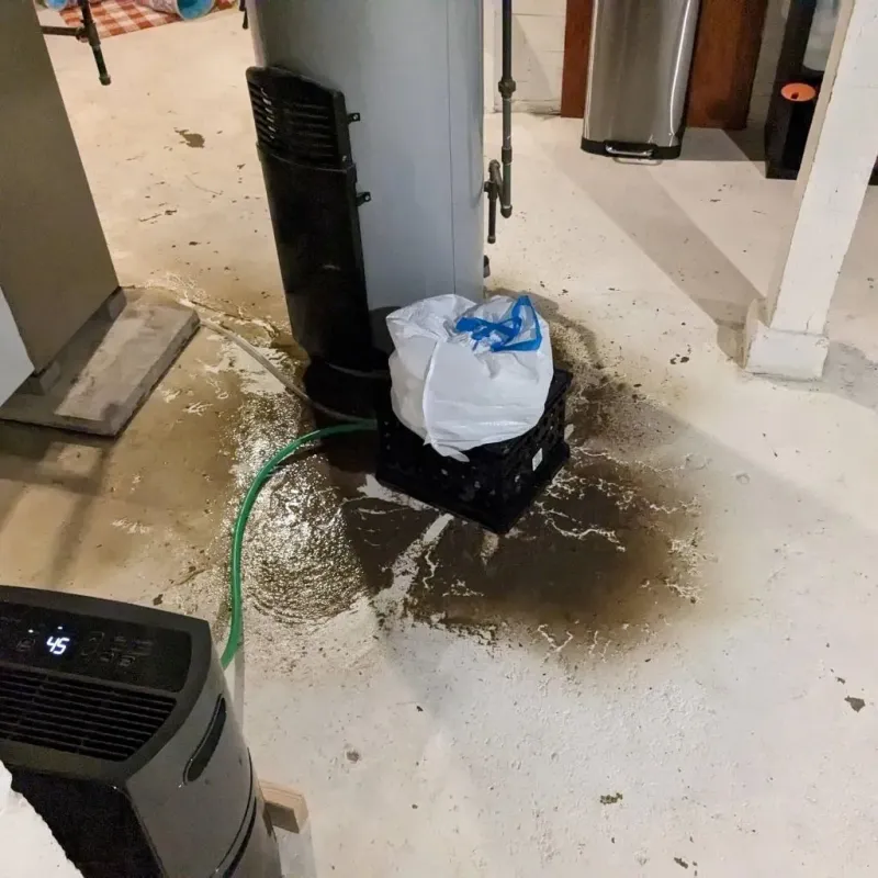 Sewage Backup Cleanup Service in Calera, AL